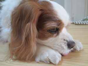 011