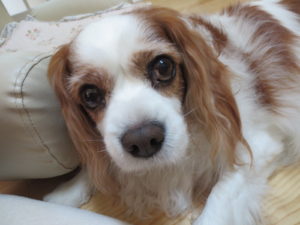013