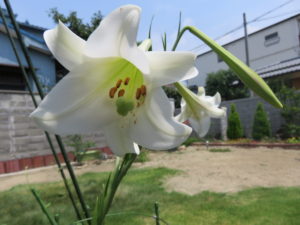 019