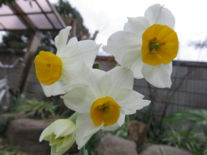010
